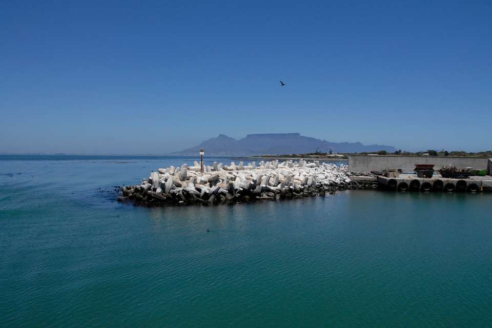 Can You Visit Robben Island Without a Tour?